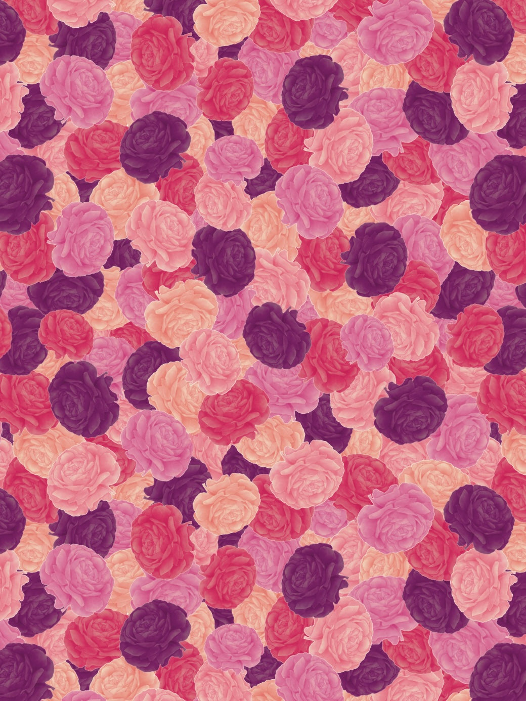 Image Transfers | HD1 - Bright Ranunculus