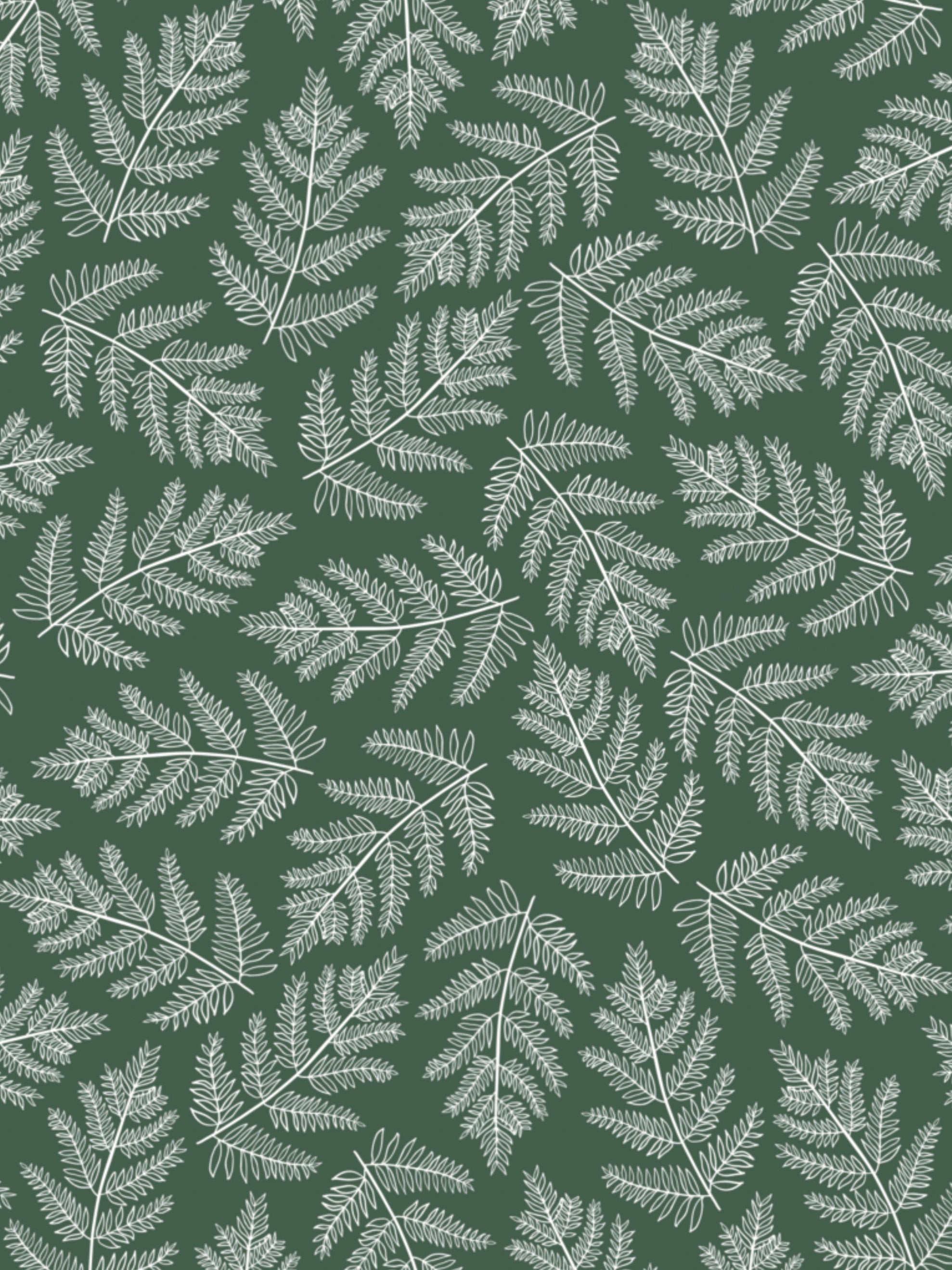 Image Transfers | SFB Green Ferns