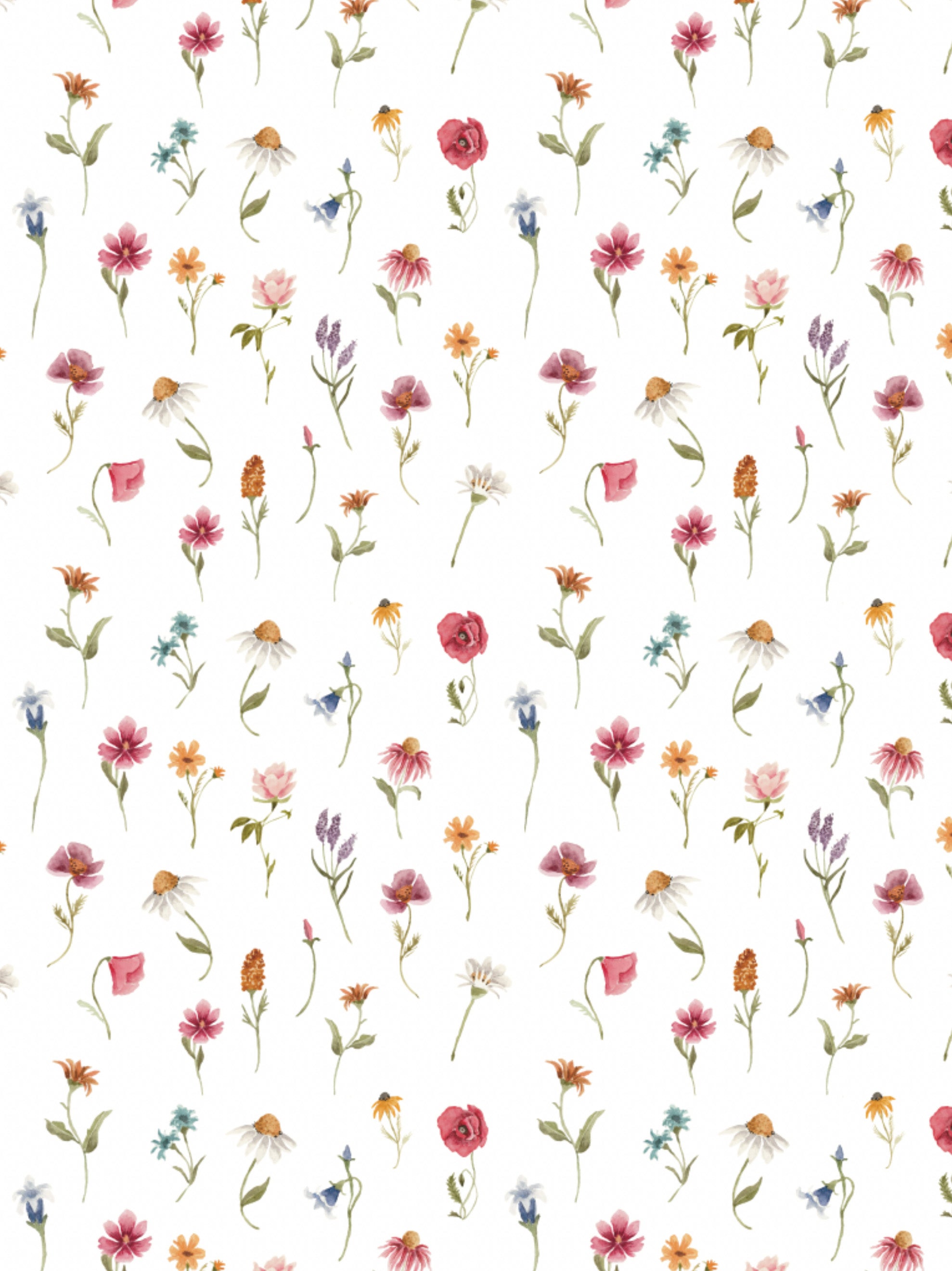 Image Transfers | SFB Mini Wildflowers