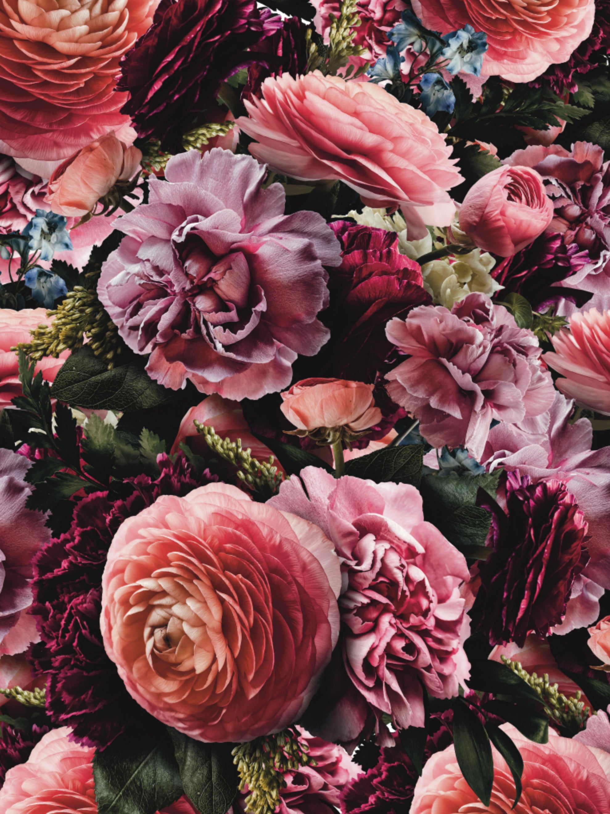 Image Transfers | SFB Large Ranunculus & Lisianthus