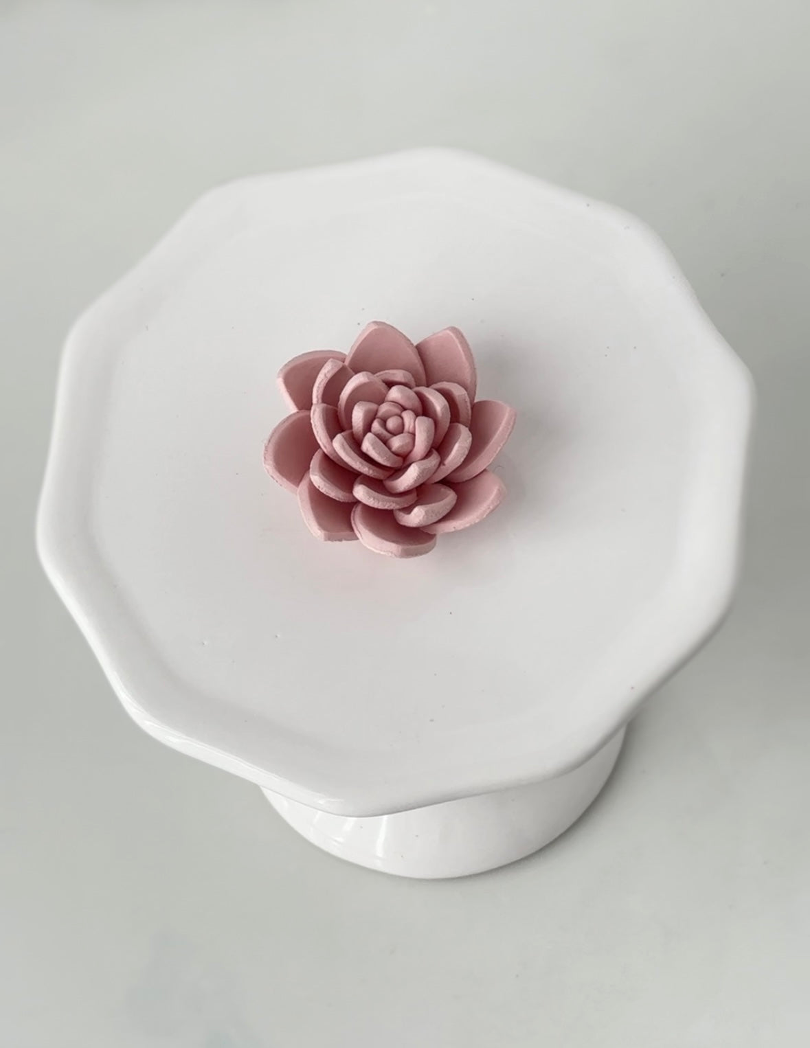 Spring Floral Box | Succulent