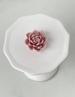 Load image into Gallery viewer, Spring Floral Box | Succulent

