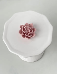 Spring Floral Box | Succulent