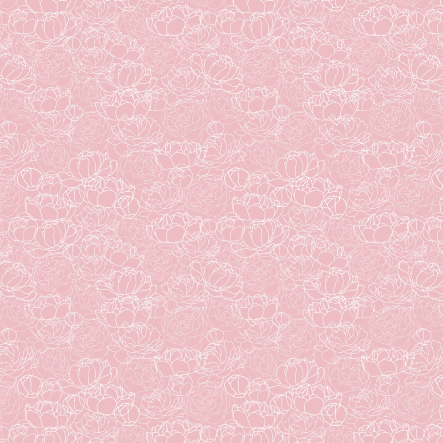 Image Transfers | Pink Fineline Peonies
