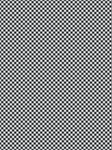 Image Transfers - W/C12 Gingham